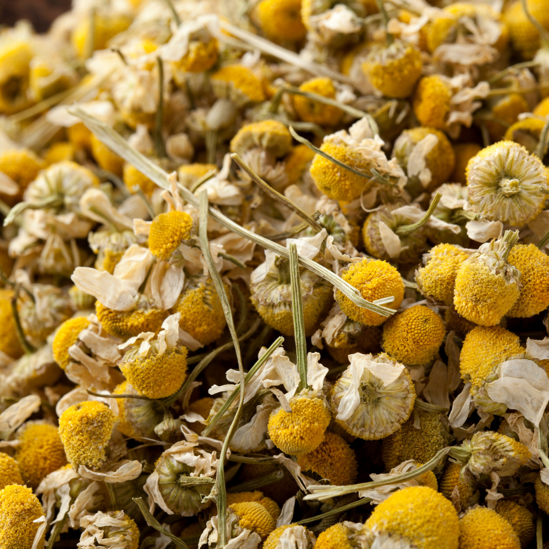 Chamomile Flowers