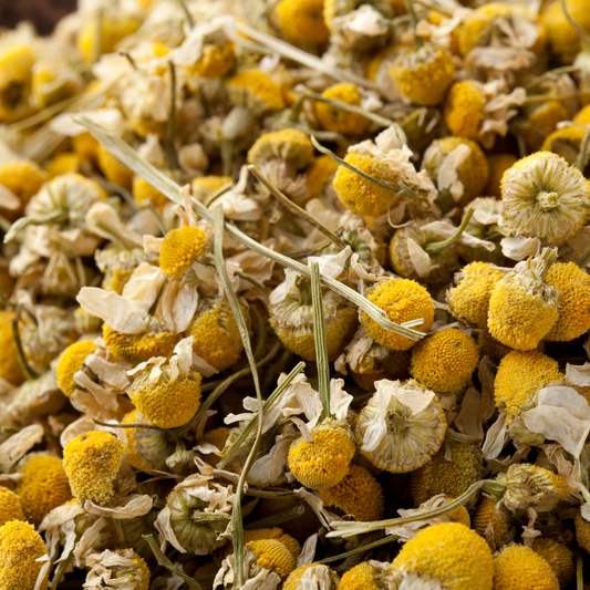 Chamomile Flowers