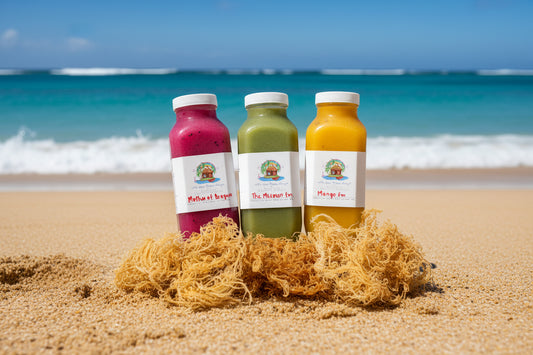 Sea Moss Infused Smoothies